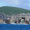 Darwin Island 19.JPG